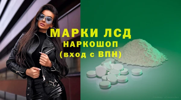 индика Касимов