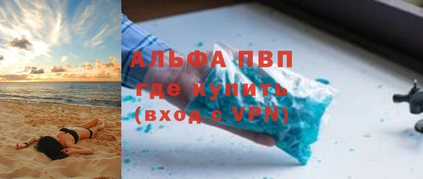 индика Касимов