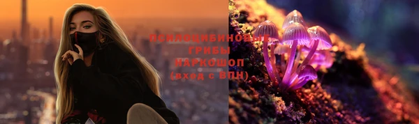 шишки Киренск