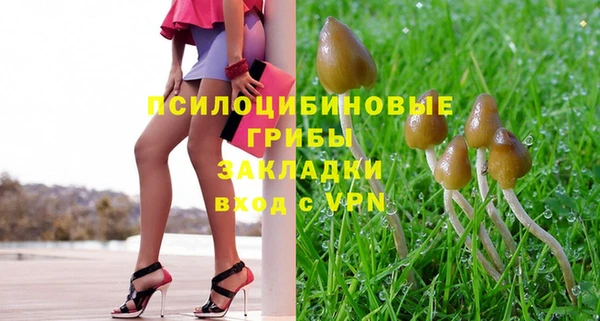 mdpv Кинешма