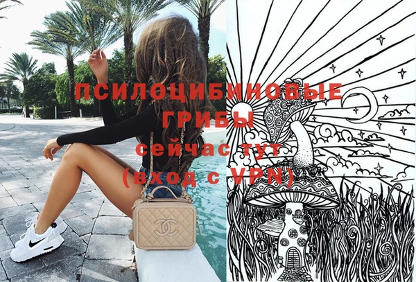 шишки Киренск