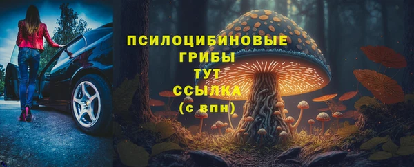 шишки Киренск