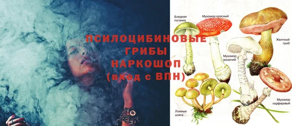 шишки Киренск