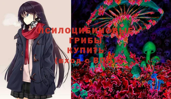 mdpv Киреевск