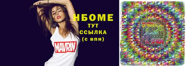 индика Касимов