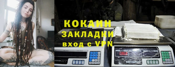 шишки Киренск